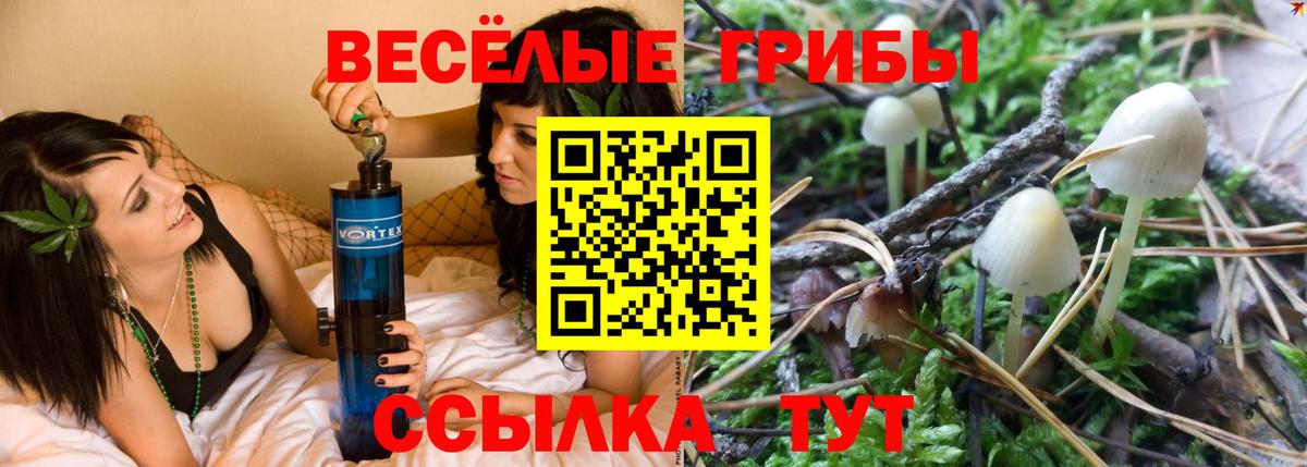 Галлюциногенные грибы мицелий  Вход с VPN  Дедовск 