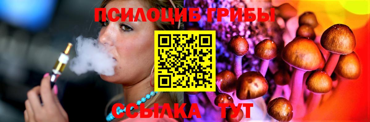 Галлюциногенные грибы Cubensis Дедовск